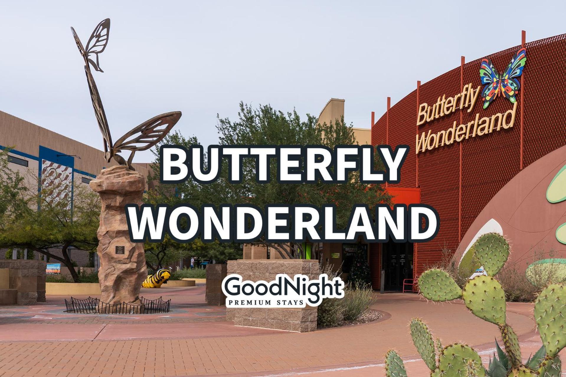 Holiday home Sunrise Vista-walk To Downtown Old Town & Bars! Scottsdale